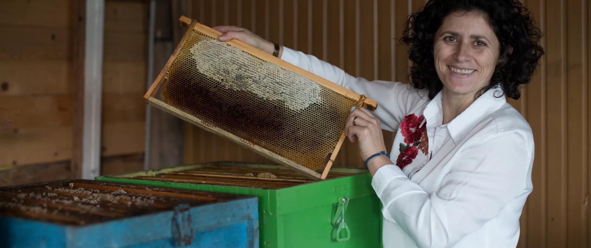 Albanian beekeeper