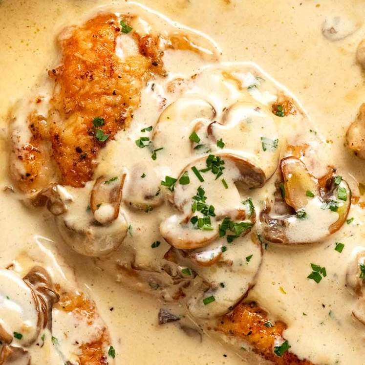 Close up of Chicken Breast in Creamy Mushroom sauce in a skillet, fresh off the stove