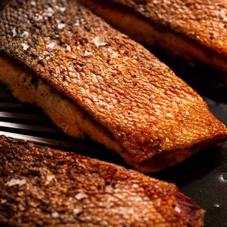 Crispy Skin Salmon in a skillet, fresh off the stove