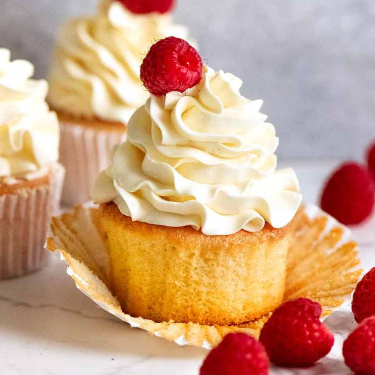 Vanilla Cupcakes with Vanilla Swiss Meringue Buttercream
