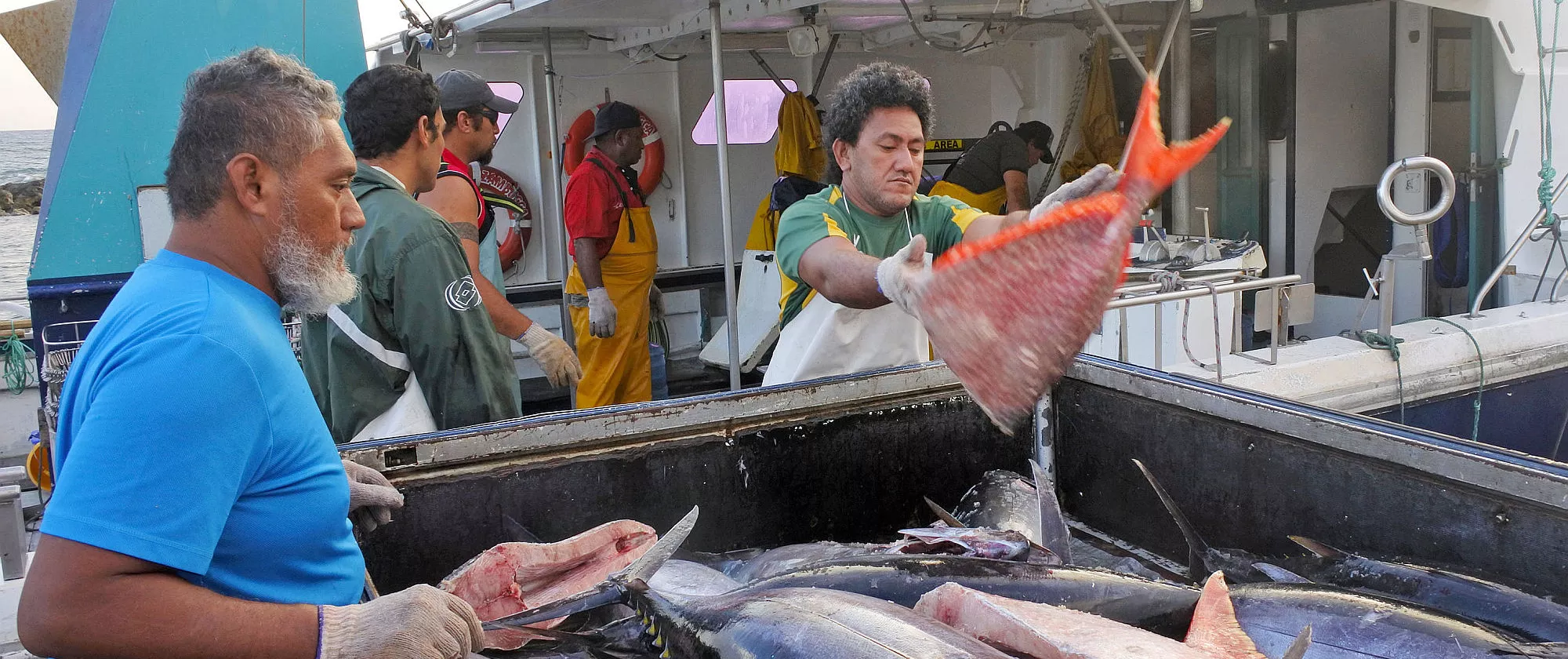 Cook Islanders fishermen unloading their catch in Ports of Avatiu