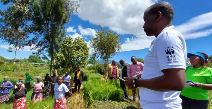 volunteers explaining forestation in Kenya