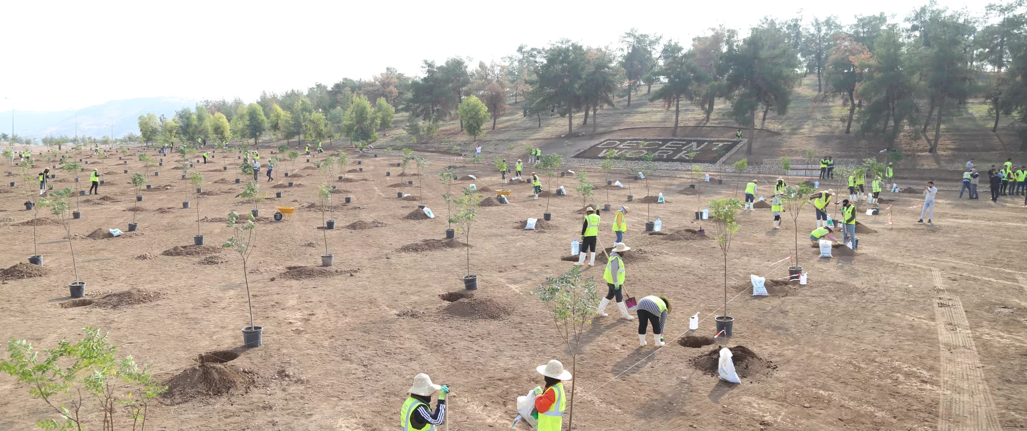 a group of people planting