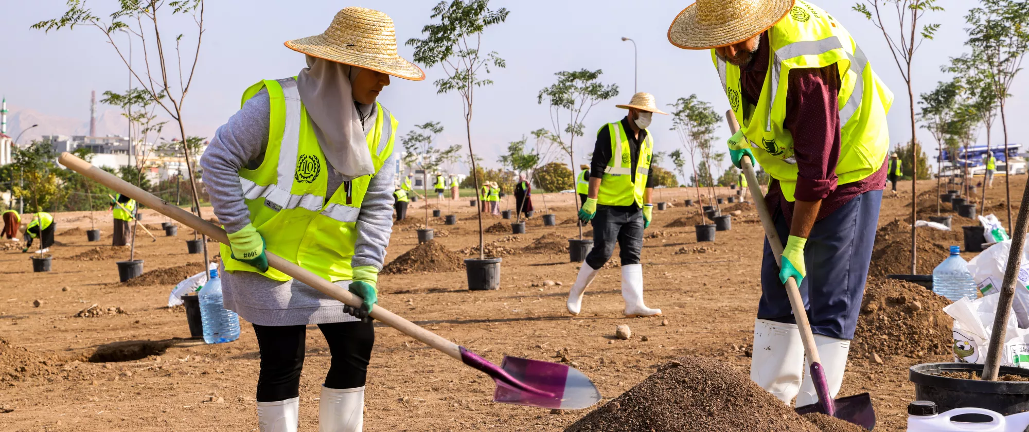 a woman and a man planting a tree