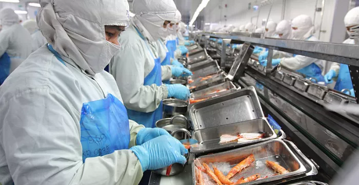 Workers in a seafood factory in Samutprakarn province, Thailand